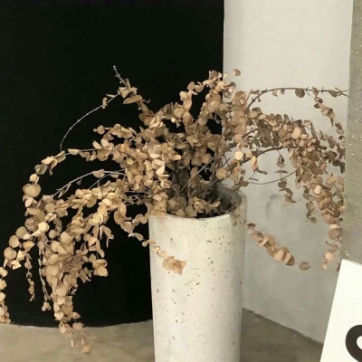 兽设黄昏场景创作兽圈社群